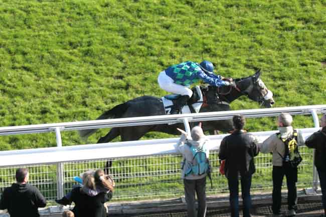 Arrivée quinté pmu PRIX ROBERT DE LIPOWSKI à AUTEUIL