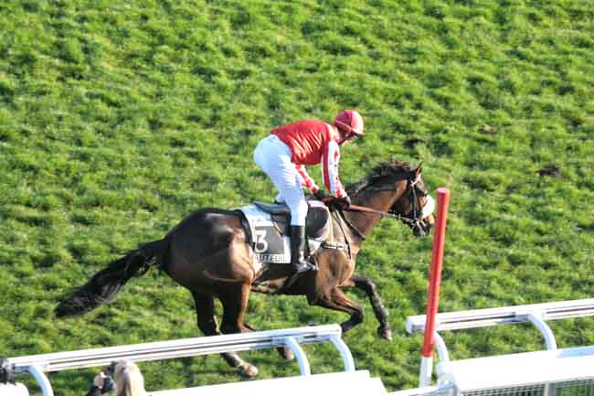 Arrivée quinté pmu PRIX MARC ANTONY à AUTEUIL