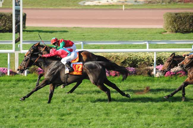Arrivée quinté pmu GRAND HANDICAP D'ECOUFLANT à ANGERS