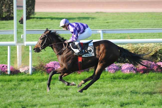 Arrivée quinté pmu PRIX DOMAINE DE LA DOUESNERIE (PRIX DAVID D'ANGERS) à ANGERS
