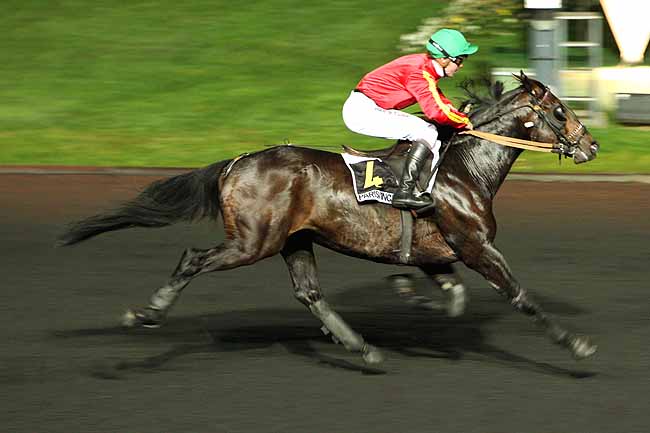 Arrivée quinté pmu PRIX TITAN à PARIS-VINCENNES