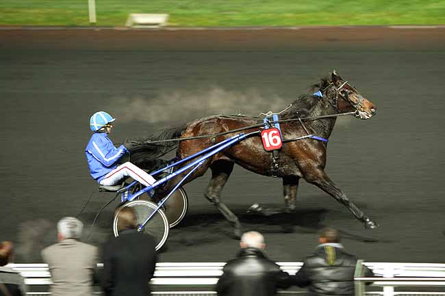 Arrivée quinté pmu PRIX DIKE à PARIS-VINCENNES