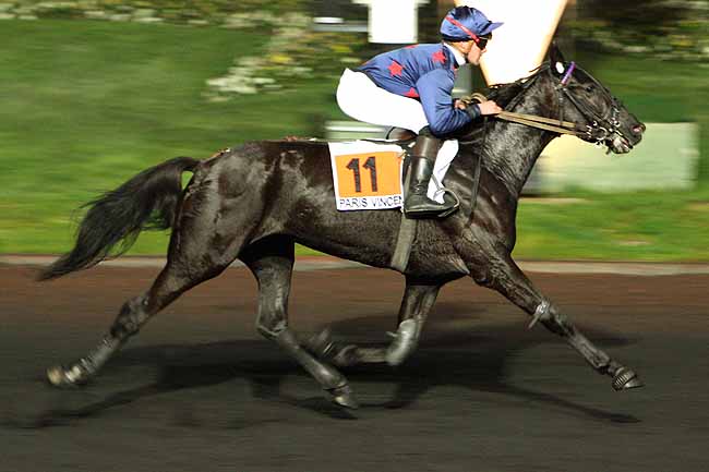 Arrivée quinté pmu PRIX PSYCHE à PARIS-VINCENNES
