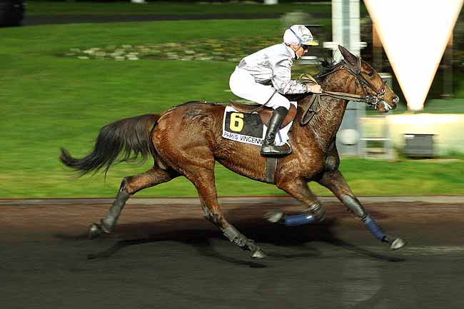 Arrivée quinté pmu PRIX LEONA à PARIS-VINCENNES