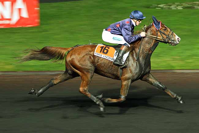 Arrivée quinté pmu PRIX HYPERION à PARIS-VINCENNES