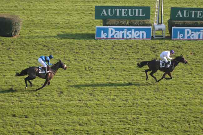 Arrivée quinté pmu PRIX PETIT BOB à AUTEUIL