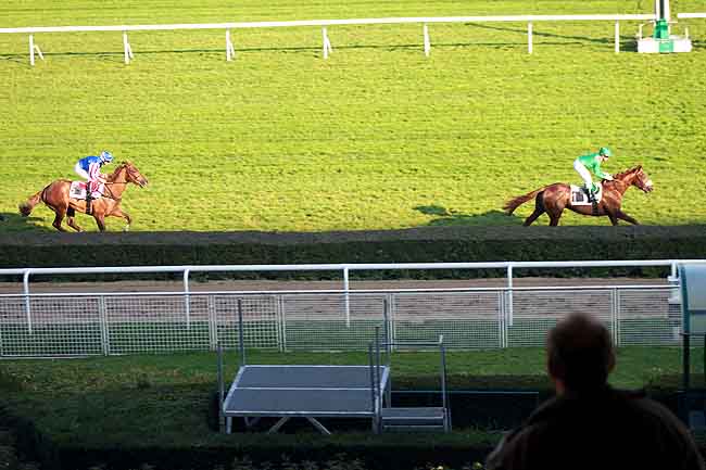 Arrivée quinté pmu PRIX HAUBAN à SAINT-CLOUD