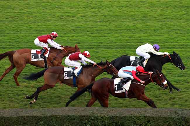 Arrivée quinté pmu PRIX CERES à SAINT-CLOUD