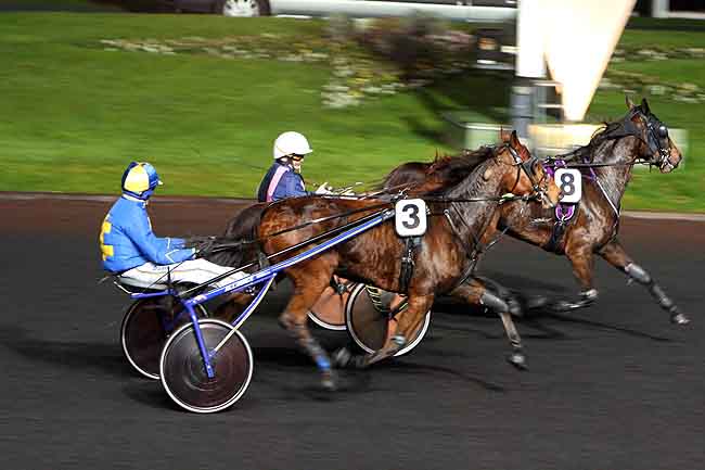 Arrivée quinté pmu PRIX CIRCINUS (GR B) à PARIS-VINCENNES