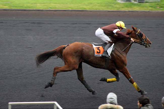 Arrivée quinté pmu PRIX DE L'ILE DE RE à PARIS-VINCENNES