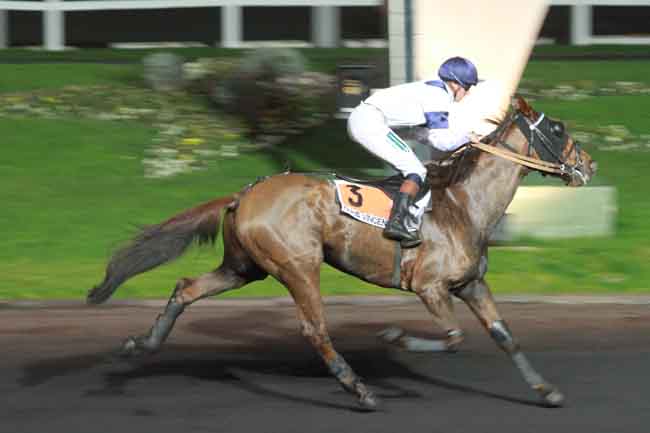 Arrivée quinté pmu PRIX DE LA BRESSE à PARIS-VINCENNES