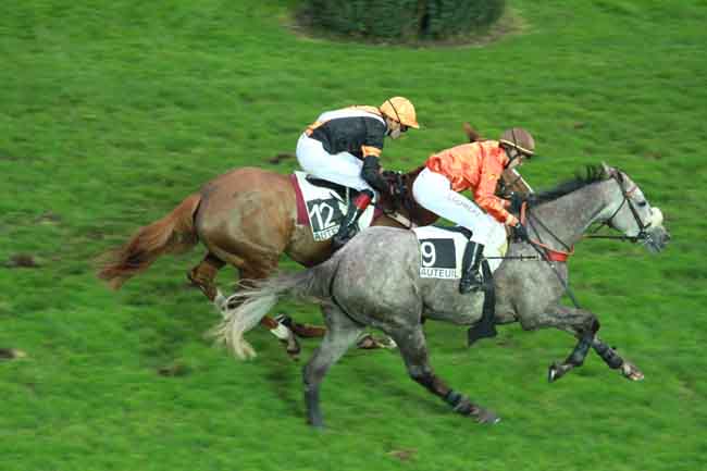 Arrivée quinté pmu PRIX NUPSALA à AUTEUIL