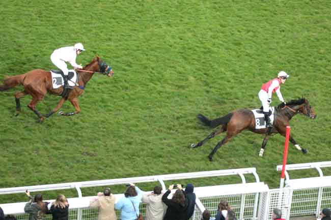 Arrivée quinté pmu PRIX FIFRELET à AUTEUIL