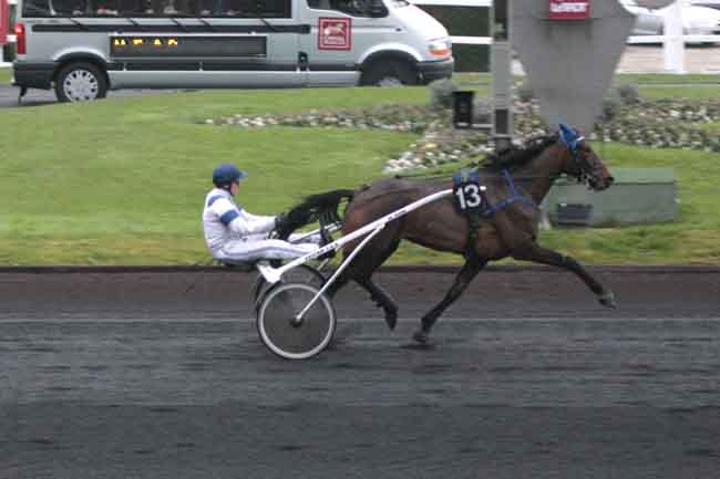 Arrivée quinté pmu PRIX DE GEMOZAC à PARIS-VINCENNES