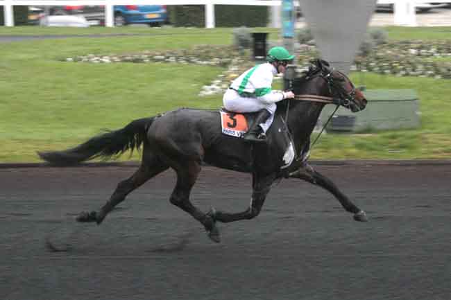 Arrivée quinté pmu PRIX DE MEYSSAC à PARIS-VINCENNES