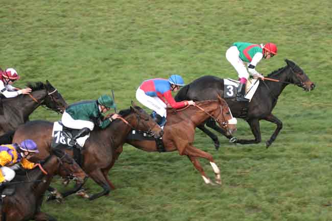 Arrivée quinté pmu PRIX DE RAMBOUILLET à FONTAINEBLEAU