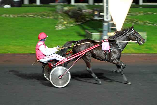 Arrivée quinté pmu PRIX HESTIA à PARIS-VINCENNES