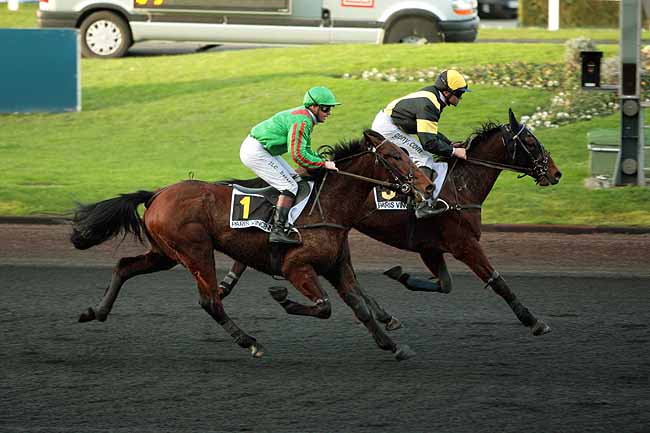 Arrivée quinté pmu PRIX DE MURAT à PARIS-VINCENNES