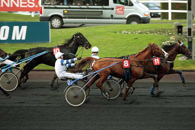 Arrivée quinté pmu PRIX DE LIMOURS à PARIS-VINCENNES