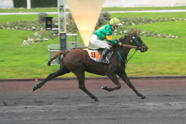 Arrivée quinté pmu PRIX DE DIGNE à PARIS-VINCENNES