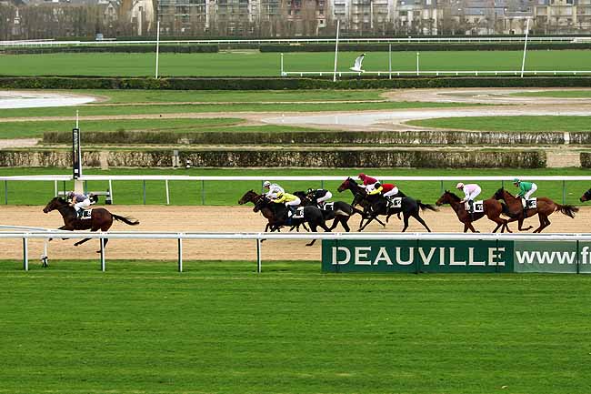 Arrivée quinté pmu PRIX DE BREHAL à DEAUVILLE