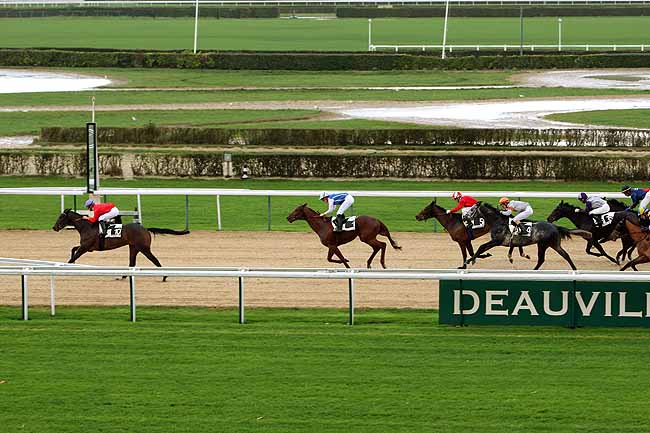 Arrivée quinté pmu PRIX LYPHARD à DEAUVILLE