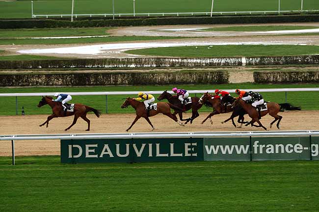 Arrivée quinté pmu PRIX DU RIL à DEAUVILLE