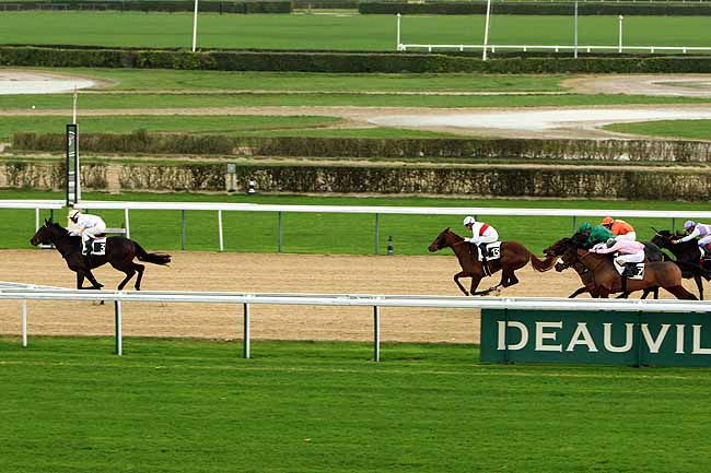 Arrivée quinté pmu PRIX DE BOIS CARROUGES (GR B) à DEAUVILLE MIDI