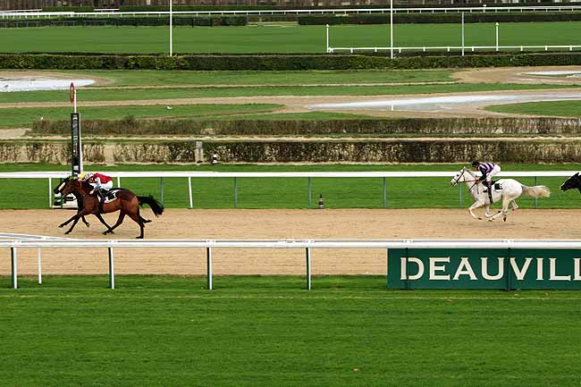 Arrivée quinté pmu PRIX DE GRANDCAMP à DEAUVILLE