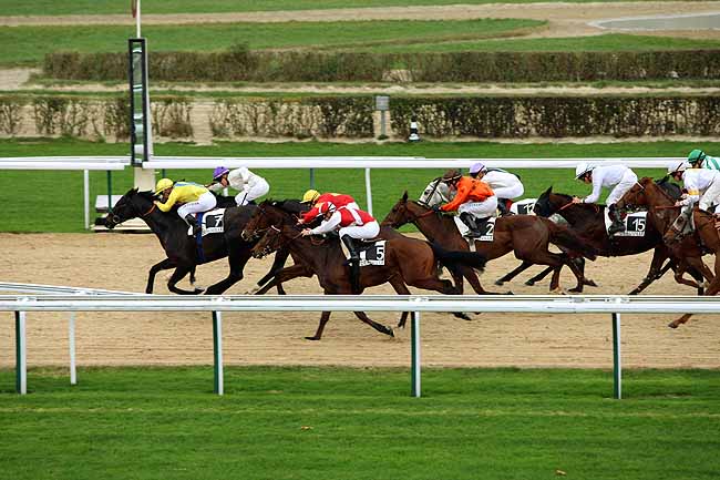 Arrivée quinté pmu PRIX DE MOULINS LA MARCHE à DEAUVILLE