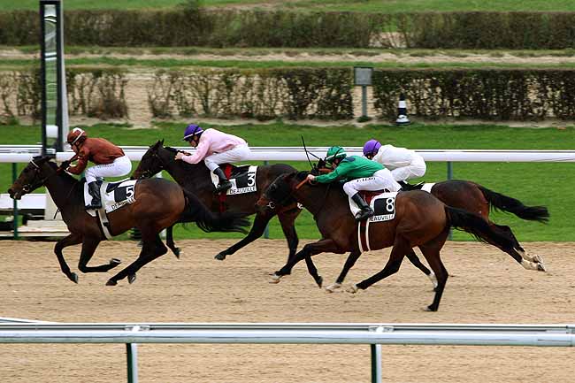 Arrivée quinté pmu PRIX DE MAROLLES à DEAUVILLE MIDI