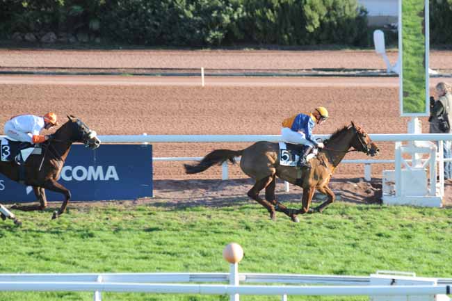 Arrivée quinté pmu PRIX DU MONT SAINTE MARIE à CAGNES-SUR-MER