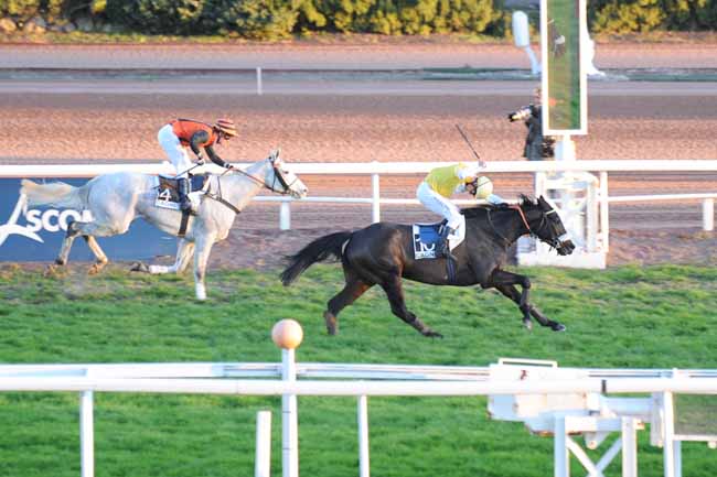 Arrivée quinté pmu PRIX DU MONT BEGO à CAGNES-SUR-MER