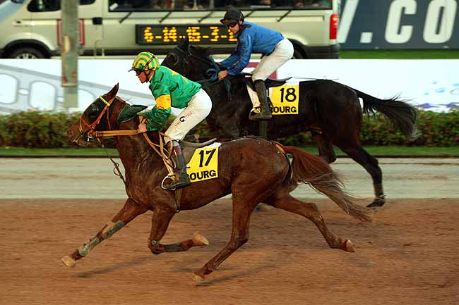 Arrivée quinté pmu PRIX DES OXALIS à CABOURG