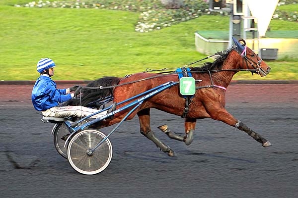 Arrivée quinté pmu PRIX DE BEAUVAIS à PARIS-VINCENNES