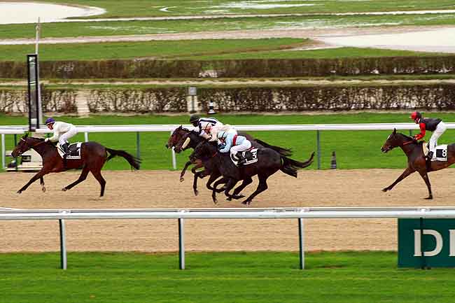Arrivée quinté pmu PRIX SANEDTKI à DEAUVILLE MIDI