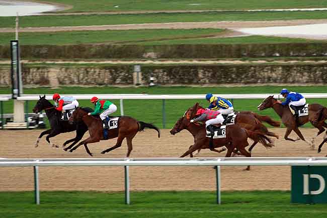 Arrivée quinté pmu PRIX DE L'AMIRAUTE à DEAUVILLE MIDI