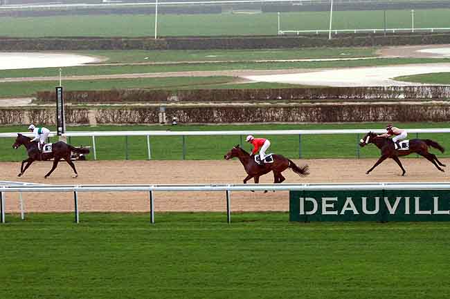 Arrivée quinté pmu PRIX DE RABODANGES à DEAUVILLE MIDI