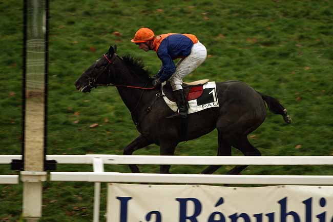 Arrivée quinté pmu PRIX DE BOUGARBER à PAU