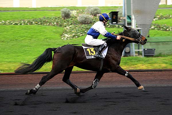 Arrivée quinté pmu PRIX DE MASSIAC à PARIS-VINCENNES