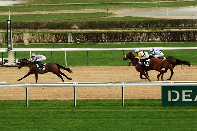 Arrivée quinté pmu PRIX DE ROCQUES à DEAUVILLE