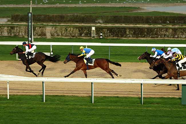 Arrivée quinté pmu PRIX DES PERRETS à DEAUVILLE