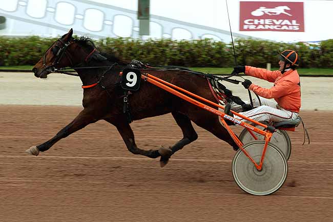 Arrivée quinté pmu PRIX DES ORTIES à CABOURG