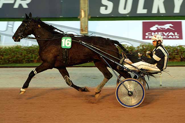 Arrivée quinté pmu PRIX DES PLATANES à CABOURG