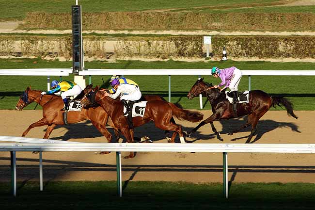 Arrivée quinté pmu PRIX DES TROIS RIVIERES à DEAUVILLE
