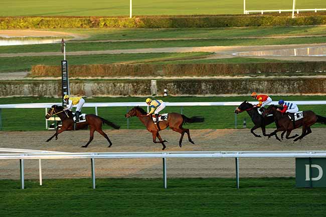 Arrivée quinté pmu PRIX DE LA DUNANERIE à DEAUVILLE