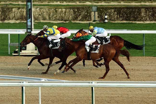 Arrivée quinté pmu PRIX DU GRAND CHENE à DEAUVILLE MIDI
