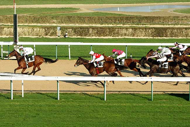 Arrivée quinté pmu PRIX D'ECOUVES à DEAUVILLE