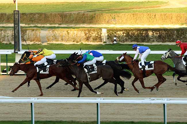 Arrivée quinté pmu PRIX DE MEHERAN à DEAUVILLE