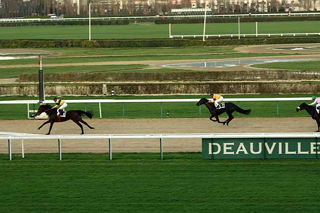 Arrivée quinté pmu PRIX DE MEDAVY à DEAUVILLE